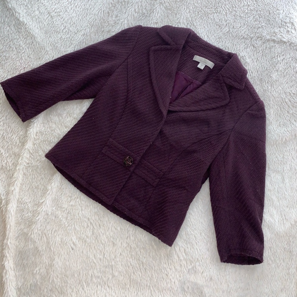 Elegant purple jacket